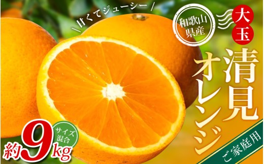 【家庭用】 森本農園の手選別 大玉清見オレンジ 約9kg 和歌山県産 サイズ混合 【北海道・沖縄・離島配送不可】【2026年2月上旬～5月中旬頃に順次発送】【BV-mrmt076】