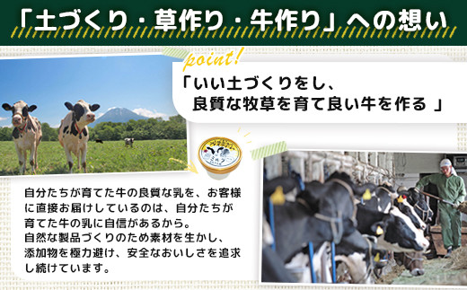【定期便：全3回】ニセコ高橋牧場ミルク工房
カップアイス3種10個セット【03127】