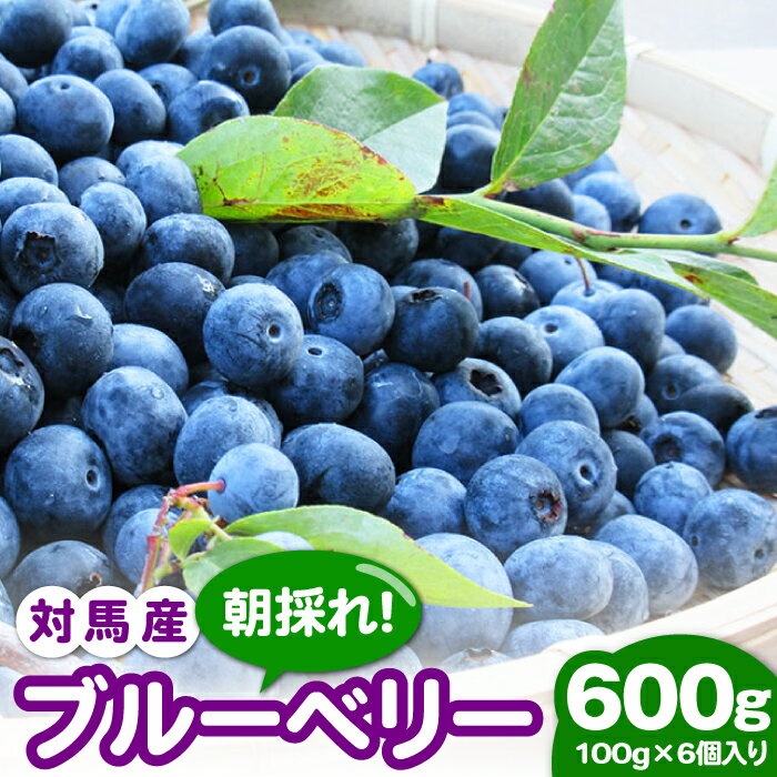 【先行予約】【ふるさと納税】対馬産朝採れブルーベリー (青果) 600g 【2025年7月上旬以降順次発送】《対馬市》【さほの里ファーム】島 フルーツ 果物 生食 新鮮 朝食[WBG006] 11000 11000円