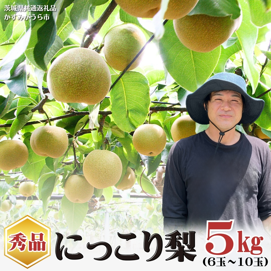 【2026年9月下旬から発送開始】《先行予約》《秀品》 にっこり梨 5kg 6玉 ～ 10玉 茨城県共通返礼品／かすみがうら市 鈴木農園 産地直送 フルーツ 甘い 直送 茨城 限定 にっこり [ED001sa]