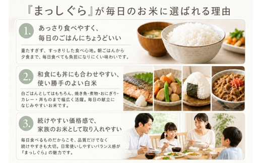 令和8年産 十和田市産まっしぐら 白米 5kg 青森県産 [ごはん 精米 米 5kg袋]