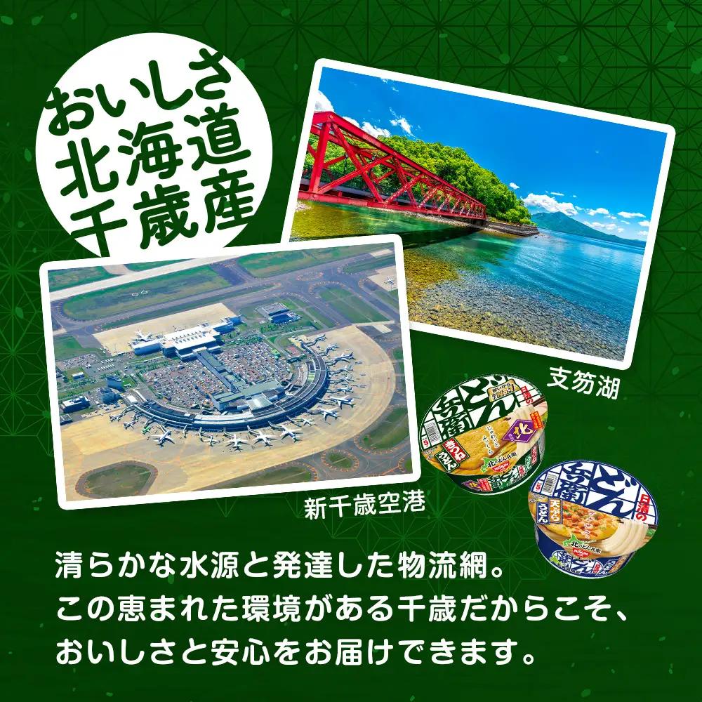 日清 北のどん兵衛 うどんセット＜天ぷら・きつね＞各1箱・合計2箱