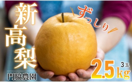 【ふるさと納税】【数量限定】 新高梨 2.5kg（3玉） 門脇農園　四万十育ちの新高梨 Ckn-A003 大玉 枝熟れ 完熟 梨の王様 なし ナシ フルーツ デザート 果物 旬 幸水 豊水 秋月 新興 シャリシャリ 新鮮