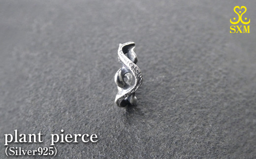 plant pierce