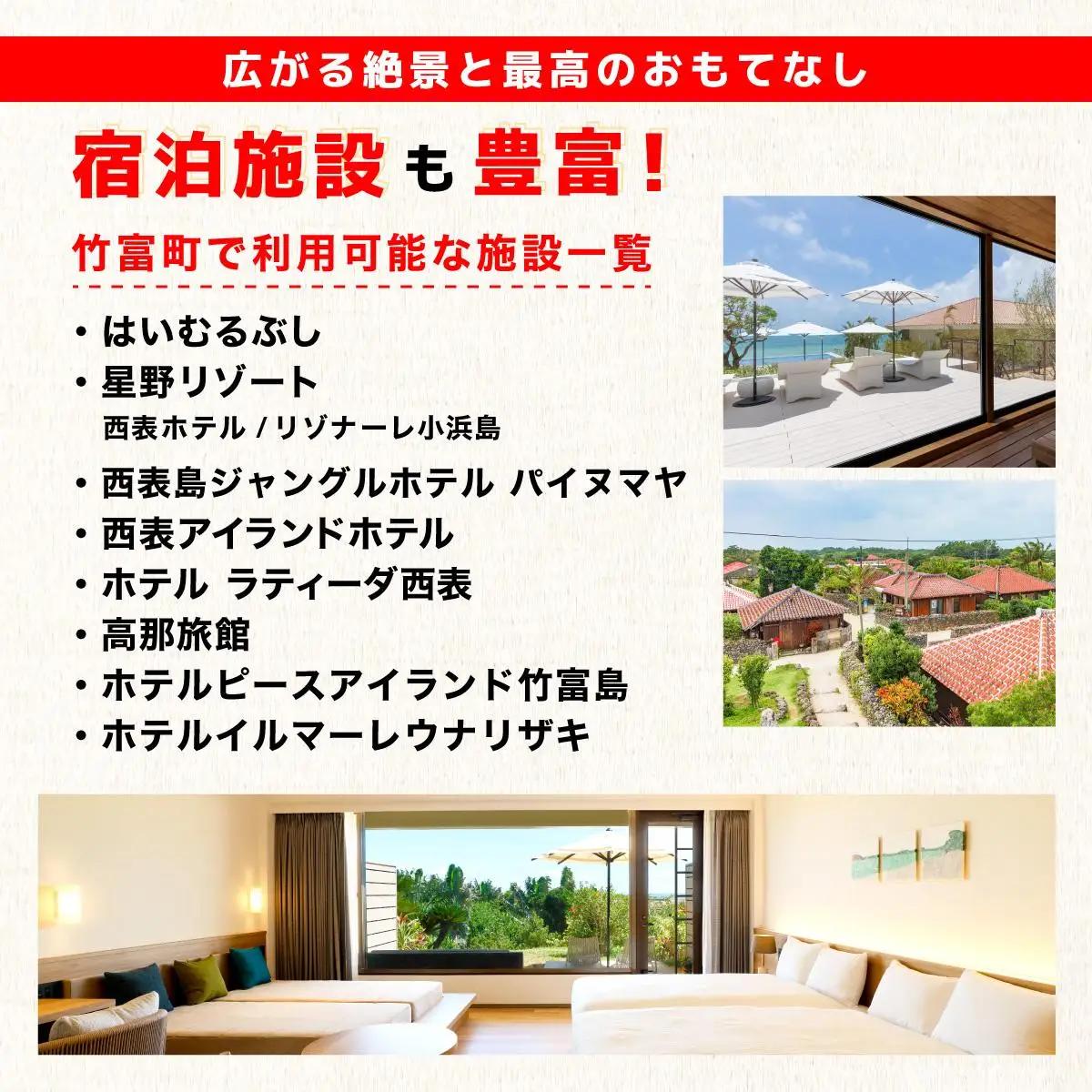 沖縄県竹富町 日本旅行 地域限定旅行クーポン 60,000円分（Eメール発行）【チケット 旅行 宿泊券 ホテル 観光 旅行 旅行券  体験 宿泊 夏休み 冬休み 家族旅行 ひとり カップル 夫婦 親子