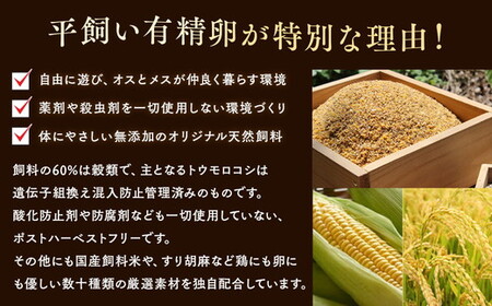 【12ヶ月定期便】《かながわブランド認定》平飼い有精卵さがみっこ 30個×12か月| 平飼い ケージフリー 卵 有精卵 鶏卵 玉子 たまご 生卵 国産 濃厚 コク 旨味 ※着日指定不可