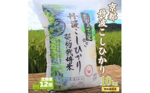 [№5334-0708]【12カ月定期便】令和7年産 京都丹波産 こしひかり 10kg 合計120kg
