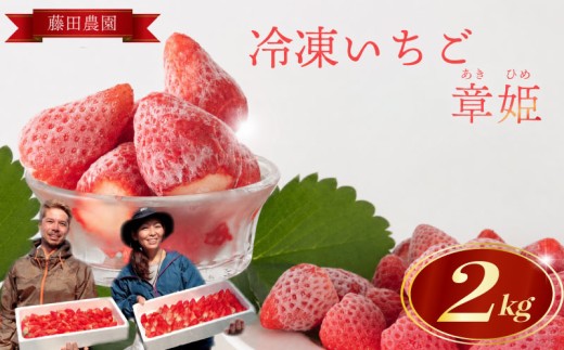 冷凍いちご 2kg 章姫 国産 冷凍 いちご 2kg フルーツ スイーツ デザート くだもの 果物 ストロベリー 甘い おいしい 大粒 濃厚 冷凍いちご かき氷 冷たい ひんやり 贅沢 ぜいたく 人気 ランキング  オススメ おすすめ イチオシ アイス おやつ ケーキ スムージー ジャム 贈り物 誕生日 贈答 ギフト フローズン バースデー おいしい 夏バテ  静岡県 牧之原市 藤田農園