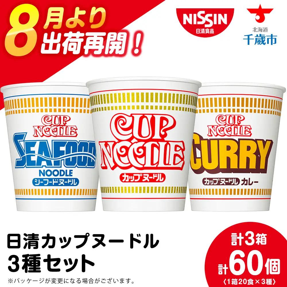 日清ヌードル3種セット 各1箱（20食入）合計60食