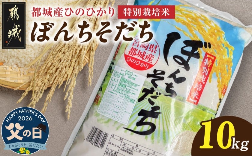 
                  【父の日】都城産ひのひかり特別栽培米「ぼんちそだち」10kg(5kg×2袋)≪6月18日～21日お届け≫_21-N5-001-10kg-FG_(都城市) 都城産 お米 10kg 5kg×2 ひのひかり ぼんちそだち
                