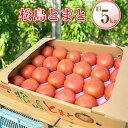 【ふるさと納税】No.003 松島とまと ／ トマト 野菜 温室栽培 白米 送料無料 宮城県