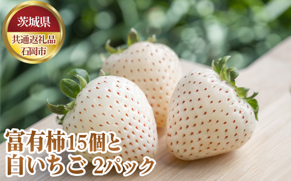 【先行予約】富有柿15個と白いちご2パック【茨城県共通返礼品 石岡市】