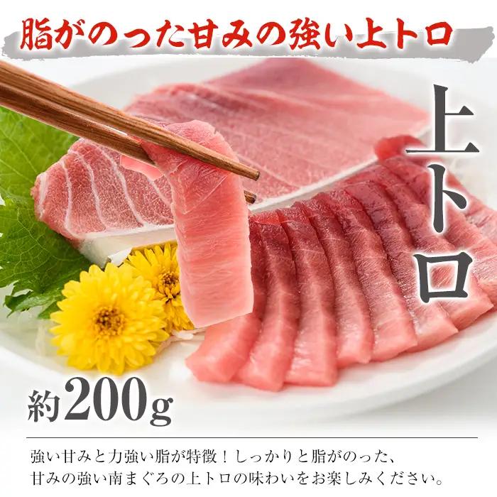 南まぐろ 中トロセット 約600g（上トロ、中トロ、赤身）まぐろ【00-019-02】
