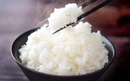 令和7年産 ひとめぼれ 白米 10kg お弁当 おにぎり 米 ひとめぼれ