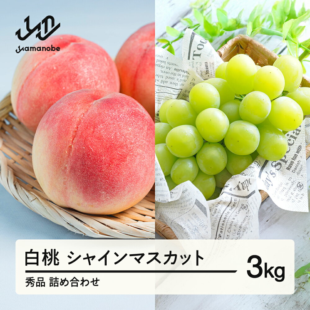 【ふるさと納税】《先行予約》白桃 シャインマスカット 秀品 詰め合わせ 3kg 令和8年産 2026年産 果物 桃 白桃 送料無料 ※沖縄・離島への配送不可 ns-fshsx3