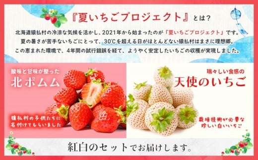 猿払産夏いちご紅白セット(1箱２パック入り)