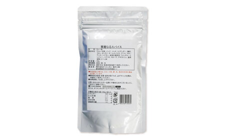 華麗なるスパイス（100g×3袋） / スパイス カレー粉 調味料 香辛料 カレーパウダー / 稲沢市 / オリエンタル [BMAM001]