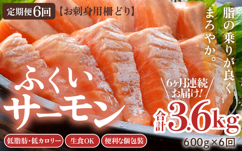 
            《定期便6回》ふくいサーモン 柵どり 150g×4パック 計600g ＜鮮度抜群！真空冷凍＞ ／ 生食OK 刺身 鮭 国産
          