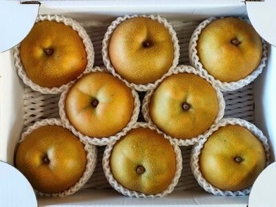 【定期便：全３回】旬のフルーツ定期便（キングデラ、和梨、シャインマスカット）　0140-2601