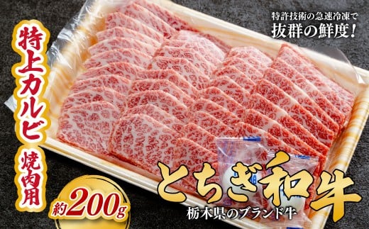 とちぎ和牛の特上カルビ 焼肉用 200g【栃木県共通返礼品】 |  牛肉 肉 お肉 カルビ 特上 バラ肉 焼肉 産地直送 国産 国産牛 和牛 赤身 霜降り 希少 旨味 旨み 熟成 急速冷凍 テクニカン テクニカン社 スキンパック 真空パック 真空包装 コトラミートカルチャ 栃木県 茂木町