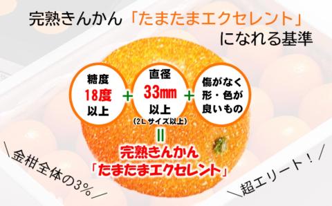糖度18度以上！宮崎金柑の最高級ブランド『完熟きんかんたまたまエクセレント』1kg　2Ｌサイズ以上【先行予約】＜1.7-27＞