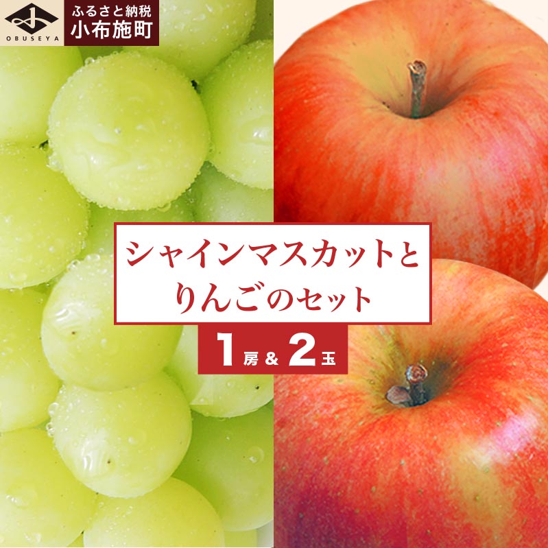 【ふるさと納税】シャインマスカット1房とりんご2玉 約1.3kg 詰め合わせ ［小布施屋］果物 詰合せ セット フルーツ ぶどう 林檎 シャインマスカット 数量限定 期間限定 先行予約 冷蔵便 クール便 長野県産 信州産 令和8年産 【2026年9月下旬頃～11月上旬頃まで順次発送】
