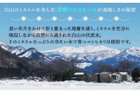 白山の恵み 令和７年度産 コシヒカリ（精米）10kg [B-009013]