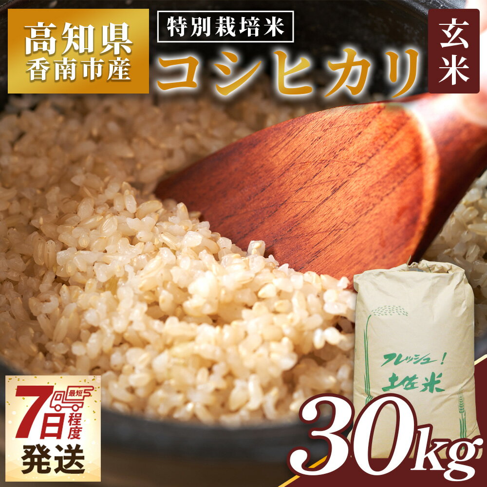 【ふるさと納税】【7日程度で発送】特別栽培米 コシヒカリ 玄米 30kg - 国産 米 お米 おこめ こしひかり 玄米 ごはん おにぎり おむすび ご飯 最短配送 スピード発送 早い 早く届く 農業公社 高知県 香南市 常温 nu-0005