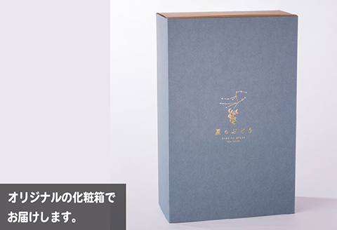 ＜令和6年夏発送・数量限定＞【ぶどう定期便・秀品】イチオシ3品種　各2房