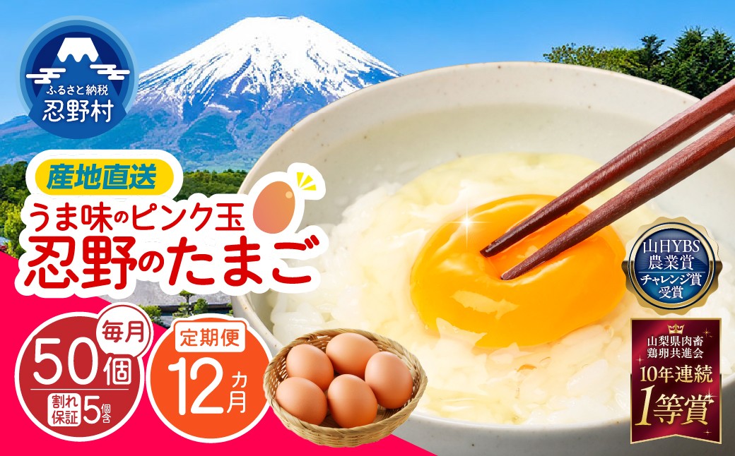 
                  【12ヶ月定期便】”忍野の卵”旨味のピンク玉 （毎月50個×12回） ※割れ保証含む　[卵 定期便 定期 国産 産地直送 毎月 生卵 玉子 たまご 卵かけご飯 卵焼き 親子丼 目玉焼き すき焼き オムライス オムレツ スイーツ作り 料理 調理 人気 鶏卵 鶏 新鮮 12ヵ月 12か月 山梨県 忍野村]
                