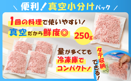 鹿児島県産 黒豚 ミンチ 1kg K025-013_02 豚 豚肉 ブタ ぶた 肉 お肉 豚ミンチ 黒豚ミンチ かごしま黒豚 真空 小分け パック 真空パック 便利 使いやすい 鮮度 餃子 そぼろ丼 