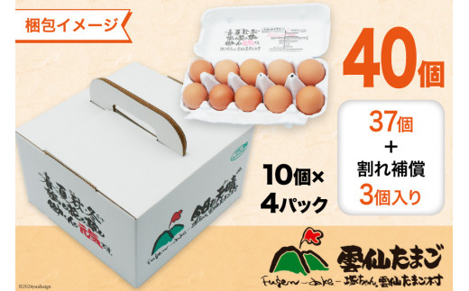 BI032 6回 定期便 雲仙たまごLサイズ 40個 (10個入り×4パック) (37個＋割れ補償3個入り) [ 卵 たまご 生卵 鶏卵 赤卵 玉子 新鮮 塚ちゃん雲仙たまご村 長崎県 島原市 ]
