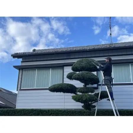 【磐田市限定】お庭のお手入れ_庭 手入れ お手入れ 庭木 にわ 庭師 剪定 庭木 草刈り 草取り 草むしり 樹木 代行 作業 除草作業 農地 空き家 休耕田 田畑 クーポン券 静岡県 磐田市 限定 磐