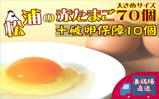 
            養鶏場直送！松浦の赤たまご『コクもりたまご』大きめサイズ70個+破卵保障10個( たまご タマゴ 卵 赤たまご 赤卵 赤タマゴ 大きめ とれたて 卵かけごはん ゆで卵 鶏卵 卵黄 玉子スープ 玉子サンド 玉子焼き 新鮮 濃厚 コク 人気 大人気 おすすめ オススメ 美味しい おいしい 冷蔵 大容量 保障付き 保障 深いコク 安全 破卵保障 おすそ分け ミネラル L玉 )【B5-096】
          