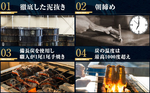 【期間限定】三河一色産うなぎ蒲焼大3尾(計420g以上)・R006-22