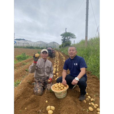 伊仙町特産品　鹿児島県産　有機ばれいしょ　10kg