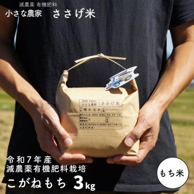 ふるさと納税 三条市 減農薬有機肥料栽培 新潟県産こがねもち 3kg もち米 令和7年産【010S439】