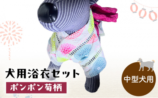 ペット用品 犬用浴衣セット　中型犬　女の子用　ポンポン菊柄 犬の服 浴衣 甚平 綿素材 夏用 ペット ドッグウェア 可愛い おしゃれ お散歩 お出かけ インスタ映え【浴衣4L　帯L】 [№5743-7122]0471