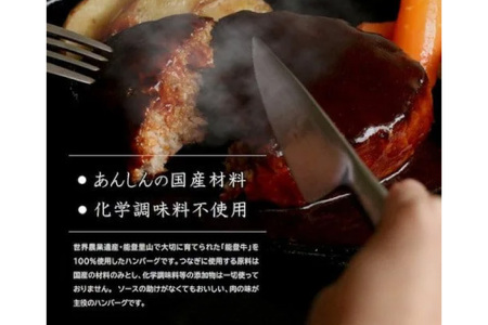 能登牛 100% グリルドハンバーグ 140g 4個