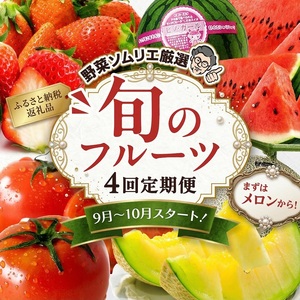 【4回】フルーツ定期便 旬のフルーツ   ( アールスメロン スタート ) 【 野菜ソムリエ 厳選 】 デザート フルーツ 果物 くだもの 果実