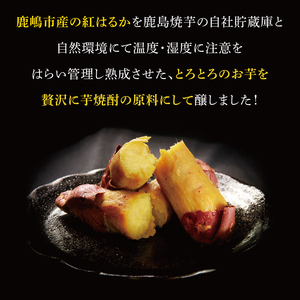 鹿島焼芋 焼芋焼酎500ml×焼芋1kg 紅はるか