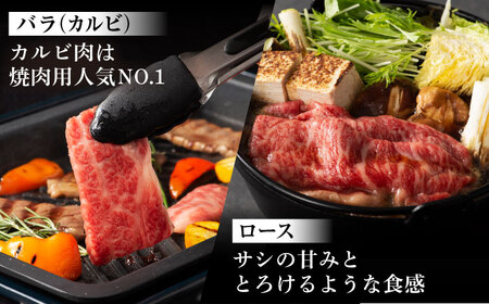 【全6回定期便】「フジチクオリジナル」ふじ馬刺しと藤彩牛の贅沢食べ比べセット 3906【株式会社フジチク】[BHAD055]