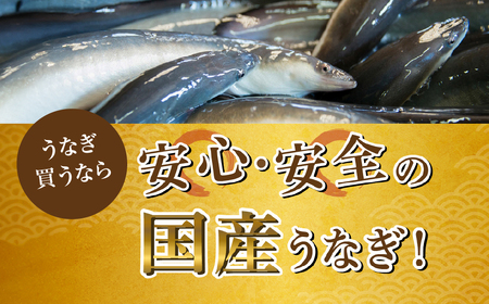 国産ぶっかけうなぎ 10枚 800g うなぎ