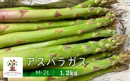 《先行予約》令和8年産 サイズ不揃い アスパラ1.2kg  訳あり アスパラ [Q2361x_26]