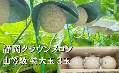 クラウンメロン 山等級 マスクメロン 青肉 クラウンメロン【特大玉 1.5kg前後 3玉】
