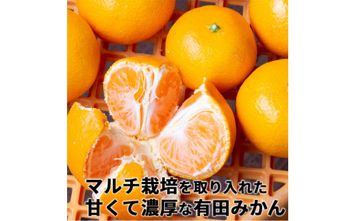 有田 みかん 特選 5kg 【 創業120年 農家直送 】 / 温州みかん 有田みかん 甘い 高級 和歌山 柑橘 ※11月中旬～1月中旬に順次発送 【isy004-r-5B】