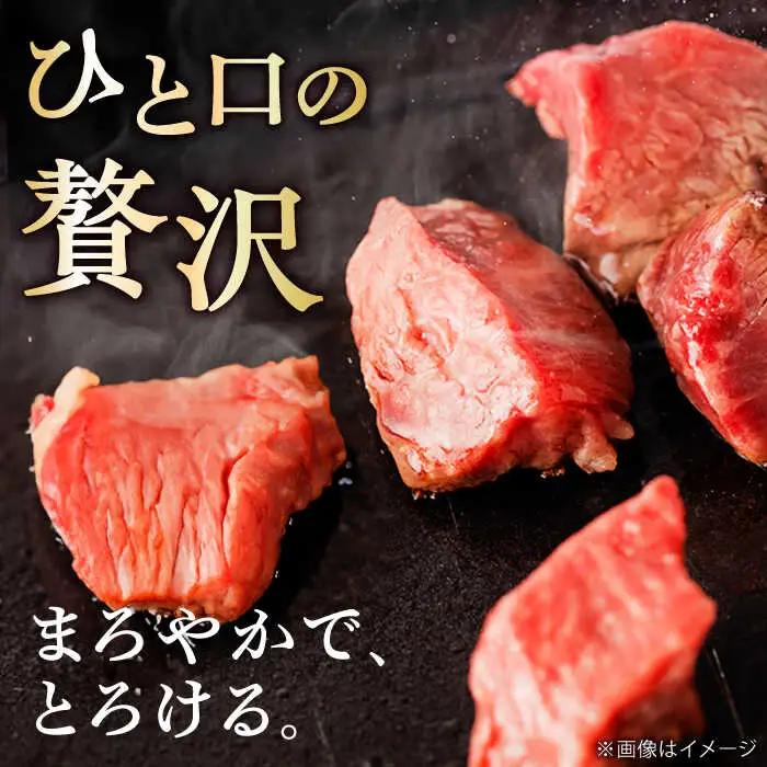佐賀牛 A4 A5等級 ヒレ サイコロステーキ 450g すてーき 黒毛和牛[FCY039]