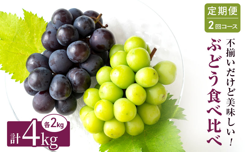 ぶどう 定期便 2回コース 食べ比べ ピオーネ シャインマスカット 各約2kg ご家庭用 辻葡萄園 葡萄 フルーツ 果物 岡山県産