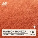 【ふるさと納税】 【山形緞通】MANYO - HANEZU オーダーメイド (上限：400cm×400cm) [oc-lrmyx400-ha]