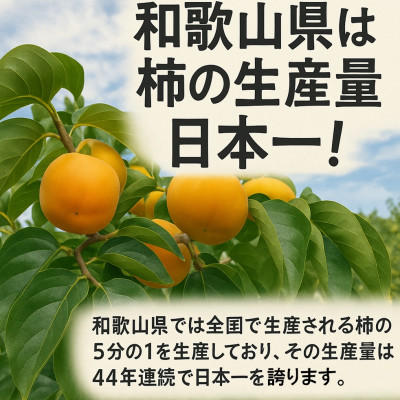 柳フルーツ園 たねなし柿 約10kg　【2025年秋冬配送】